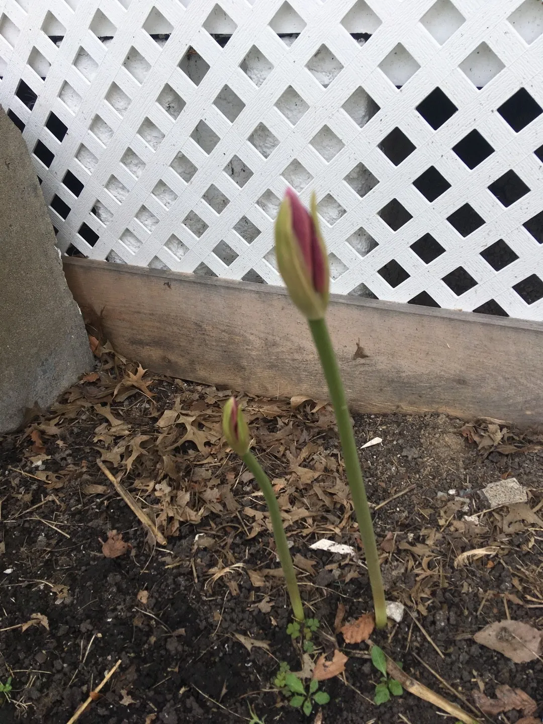 152339496438857732.jpeg?x-oss-