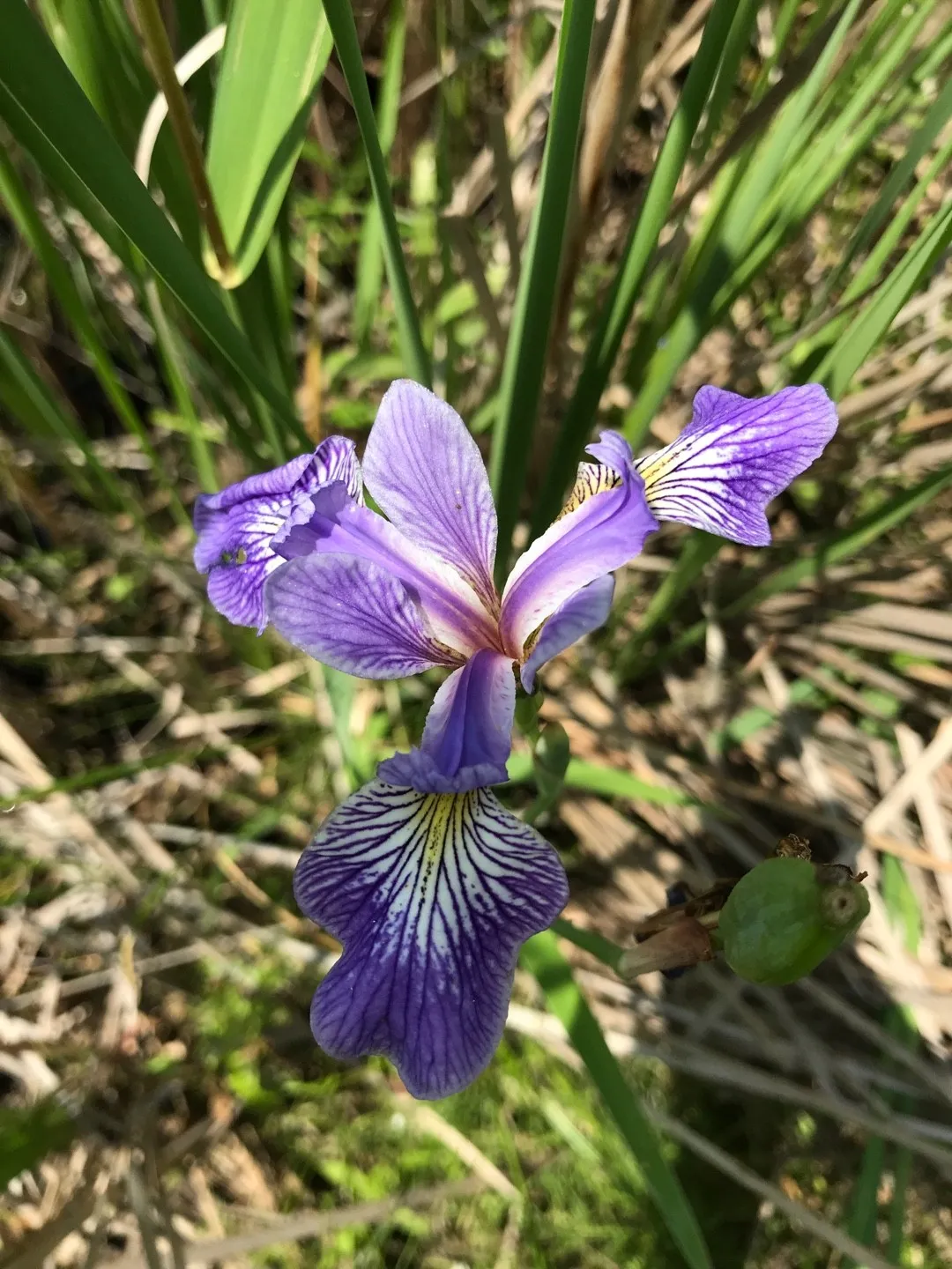 152347016926593027.jpeg?x-oss-