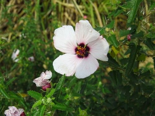 152373929191669764.jpeg?x-oss-