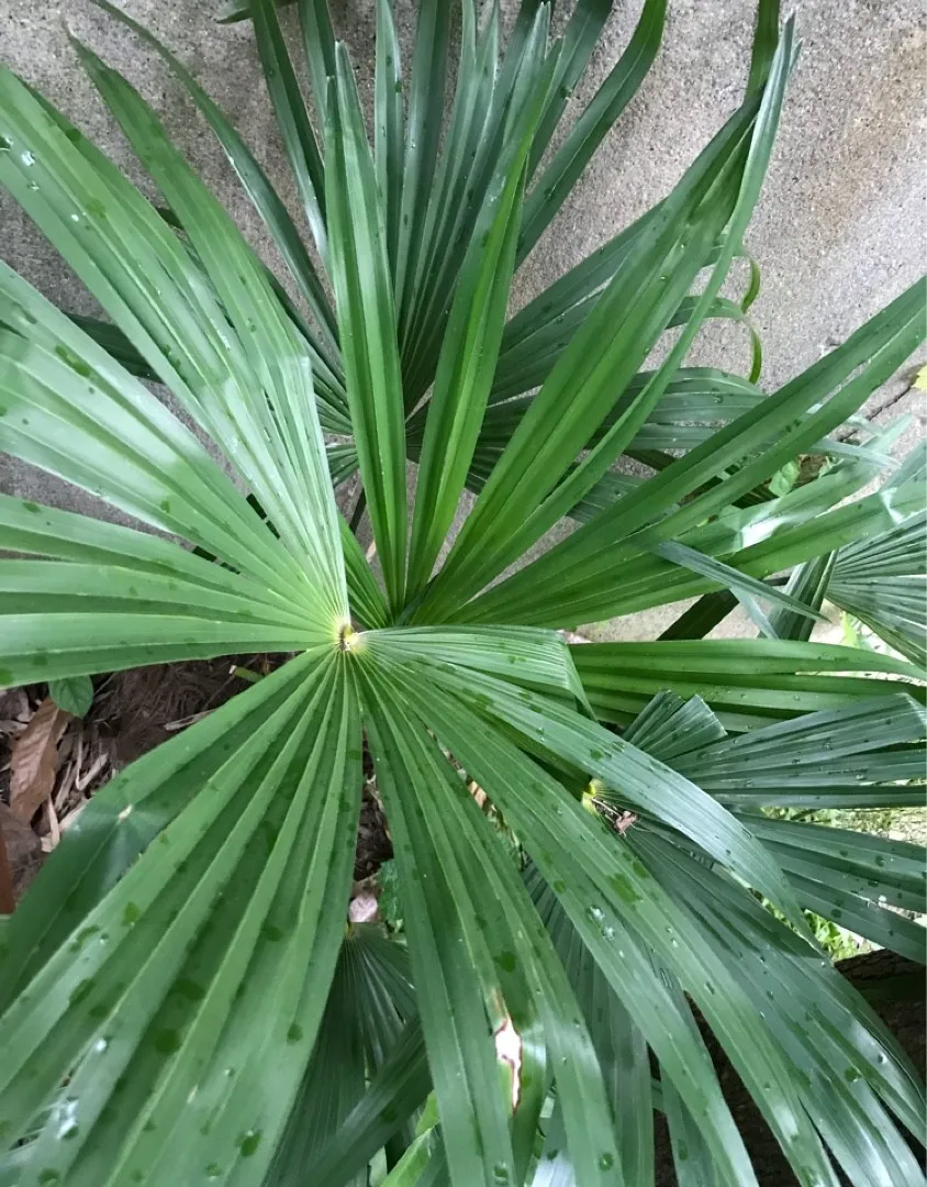 152383120421683204.jpeg?x-oss-