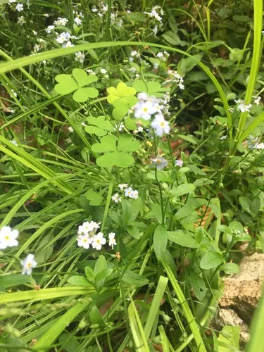 152508086790127620.jpeg?x-oss-