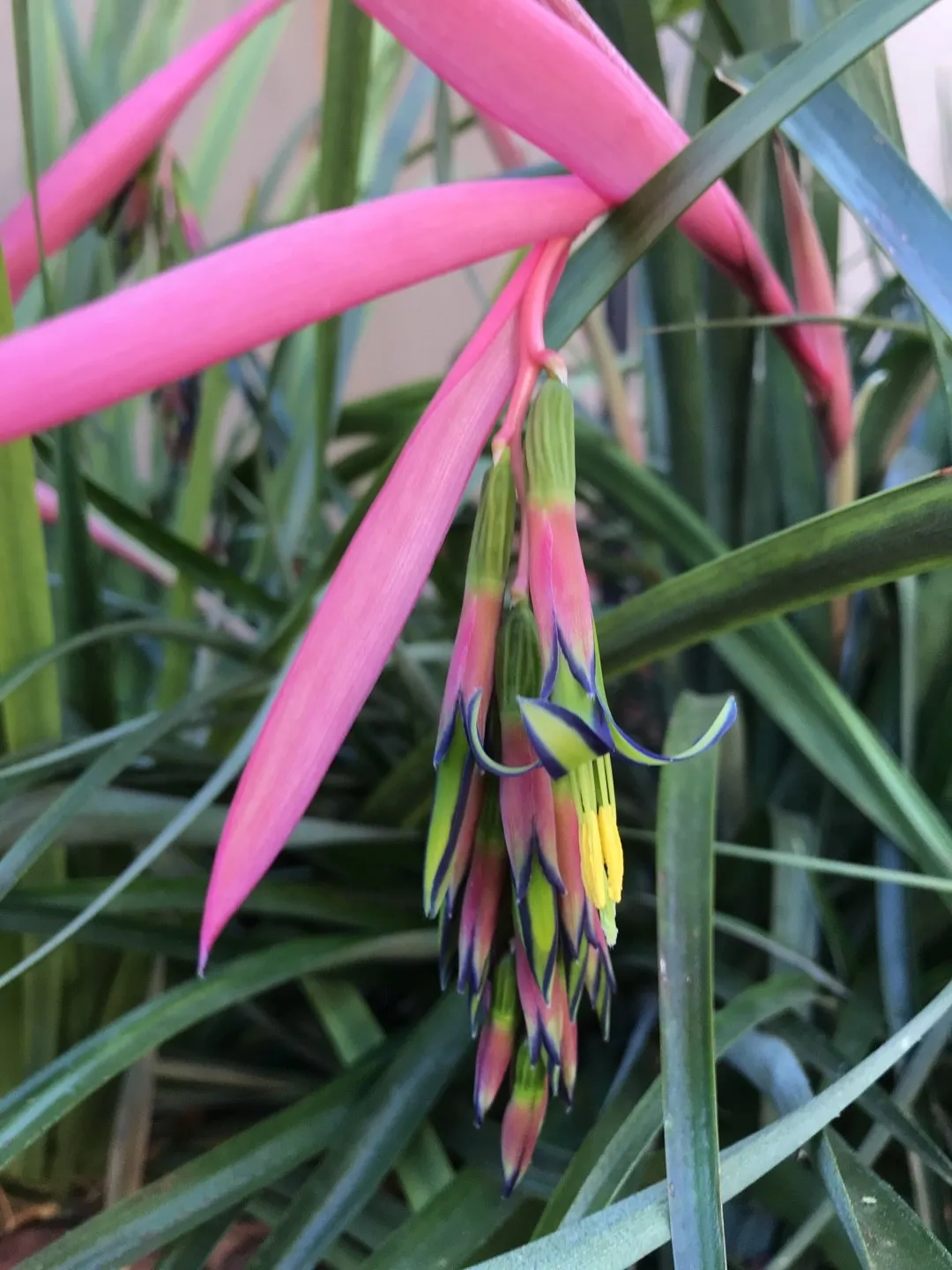 152518021049483268.jpeg?x-oss-