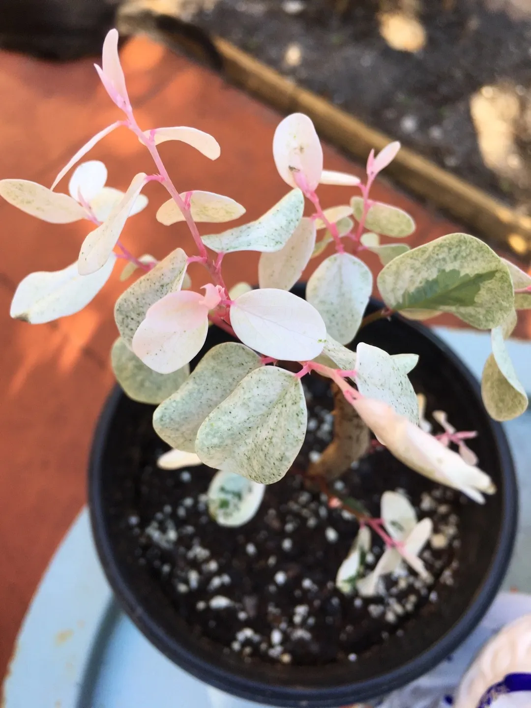 152544460868157442.jpeg?x-oss-