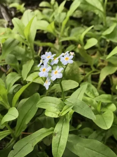 153359052955451432.jpeg?x-oss-