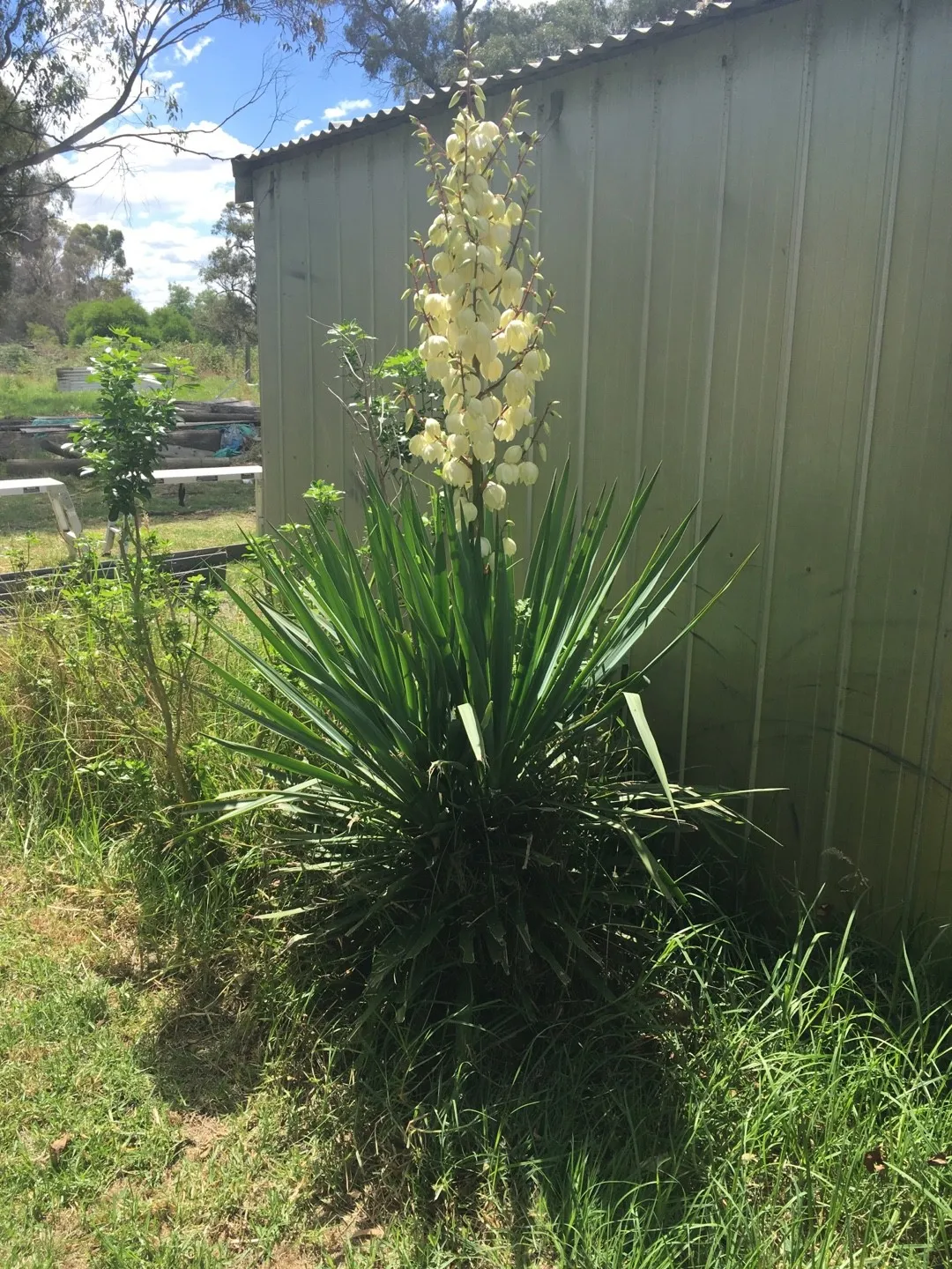 153408204561186842.jpeg?x-oss-