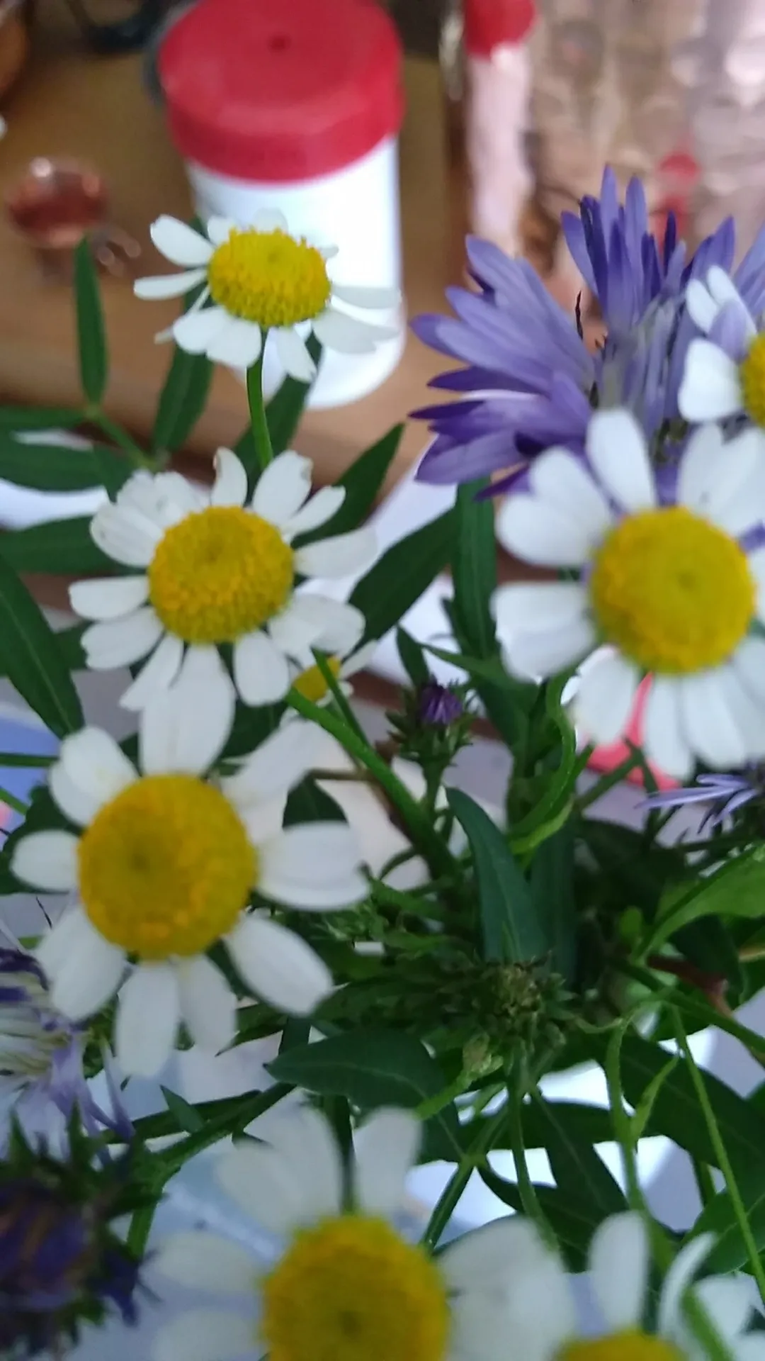 カモミール様　確認用 153419620584259608.jpeg?x-oss-