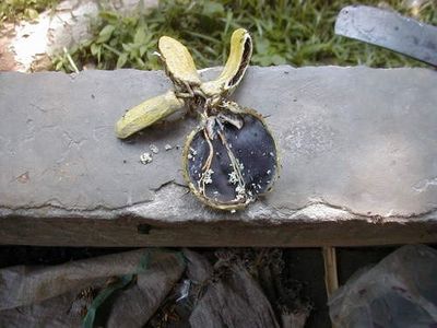 153425393020305432.jpeg?x-oss-