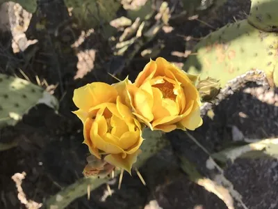 153455500741050373.jpeg?x-oss-