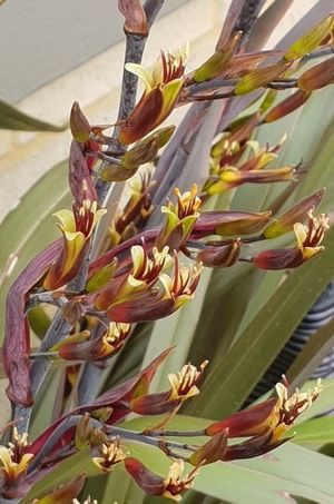 153456565892939809.jpeg?x-oss-