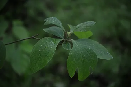 153661367113482265.jpeg?x-oss-