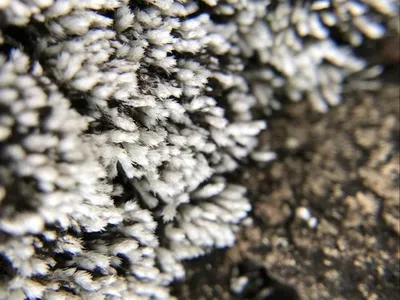 153666040037900326.jpeg?x-oss-