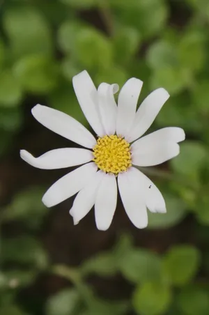 153699523602939907.jpeg?x-oss-