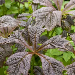 153845191713751053.jpeg?x-oss-