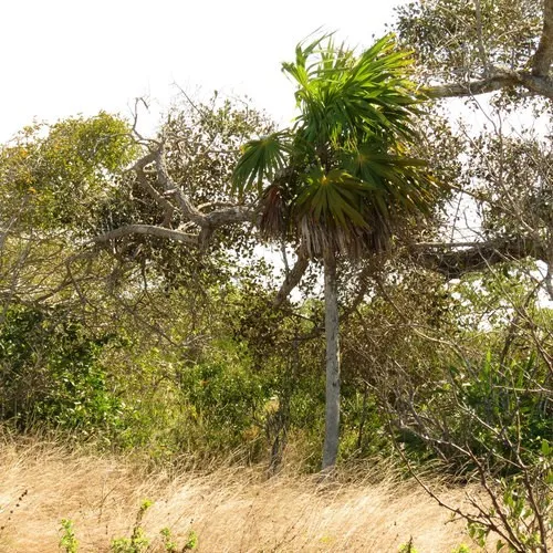 153871640122359833.jpeg?x-oss-