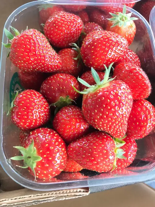 Strawberries 'Albion'