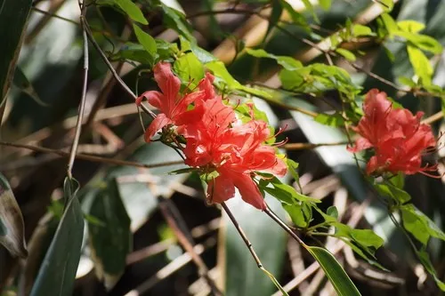 153893754908966949.jpeg?x-oss-