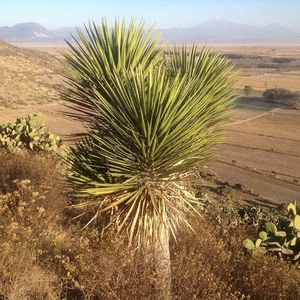 153951973190664212.jpeg?x-oss-