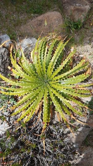 153957152921223187.jpeg?x-oss-