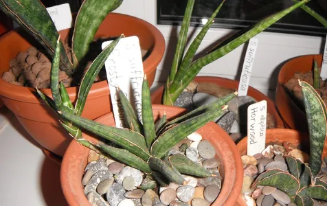 153988489002614799.jpeg?x-oss-