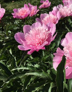 153993033078013958.jpeg?x-oss-