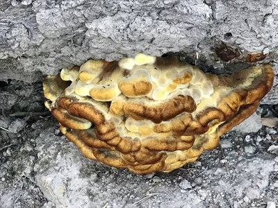 154021298257788939.jpeg?x-oss-