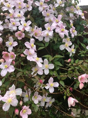 154147011950542871.jpeg?x-oss-