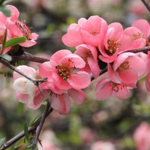 154184305151574049.jpeg?x-oss-