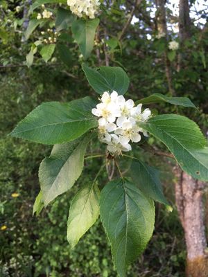 154193560806096905.jpeg?x-oss-