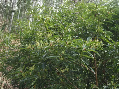 plant boxen Ferm Living main image 0