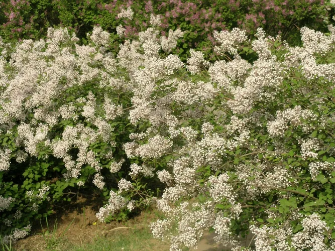 157110208672301060.jpeg?x-oss-