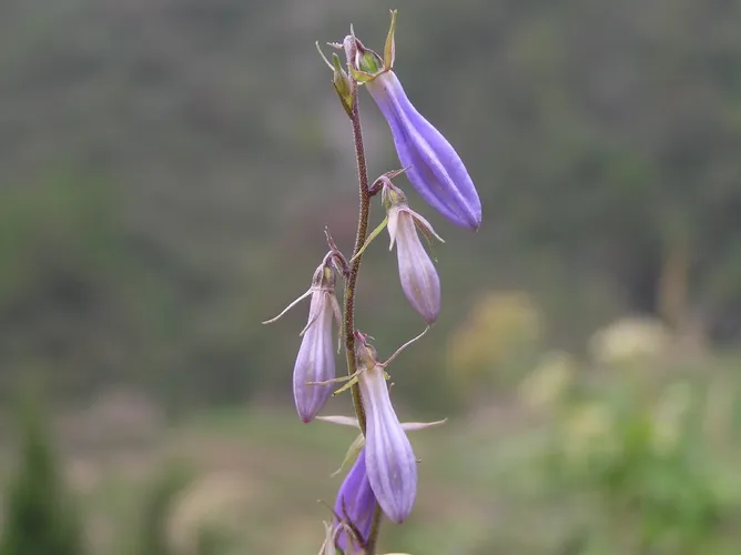 157217660164112389.jpeg?x-oss-