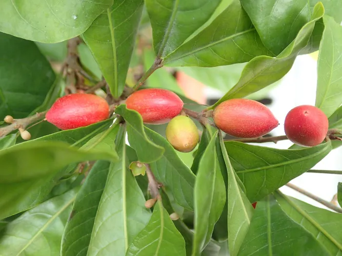 157250993405296640.jpeg?x-oss-