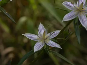 157355150657191937.jpeg?x-oss-