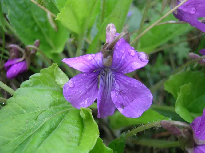 157422031887925261.jpeg?x-oss-