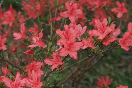 157540779143725069.jpeg?x-oss-