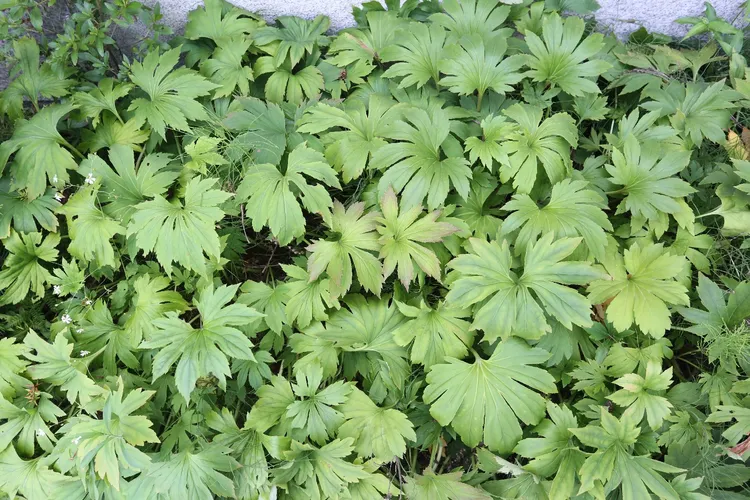 157643214113734657.jpeg?x-oss-