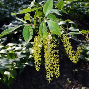 216742715688321024.jpeg?x-oss-