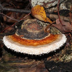 221609575060373504.jpeg?x-oss- 221609575060373504.jpeg?x-oss-