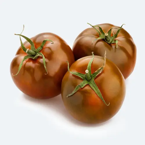 Solanum lycopersicum 'Kumato'