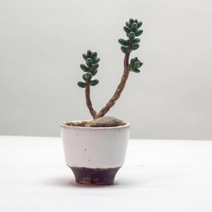 226831632523001856.jpeg?x-oss-