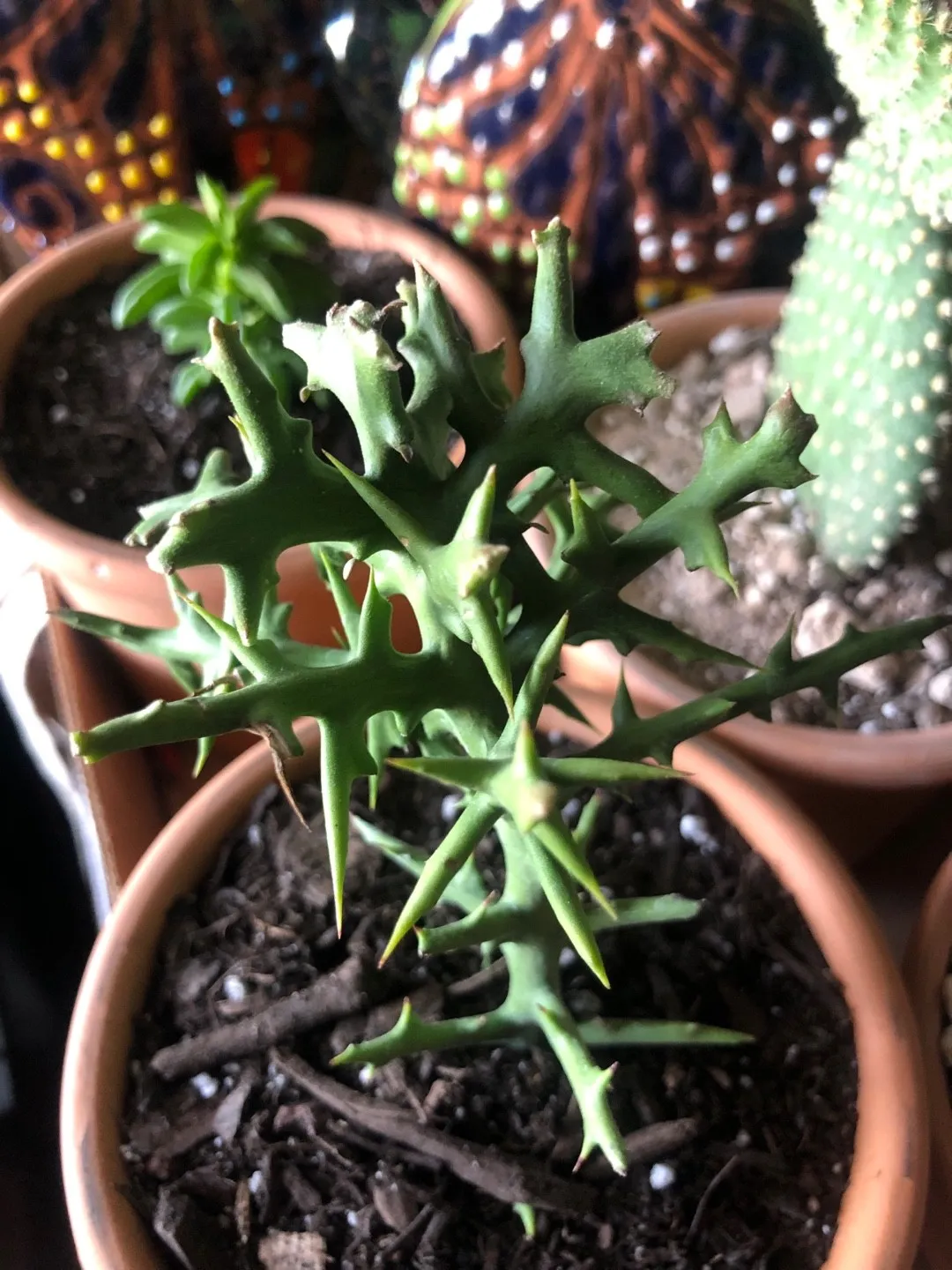 232479995554070529.jpeg?x-oss-