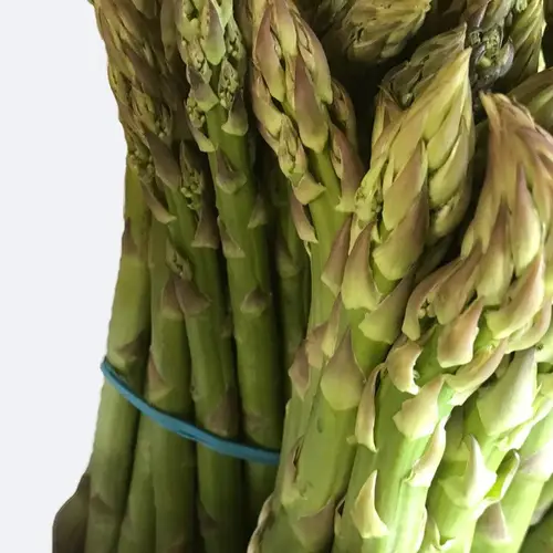 Garden asparagus 'Backlim'
