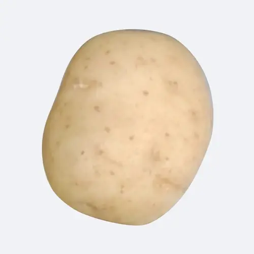 Potato 'British Queen'