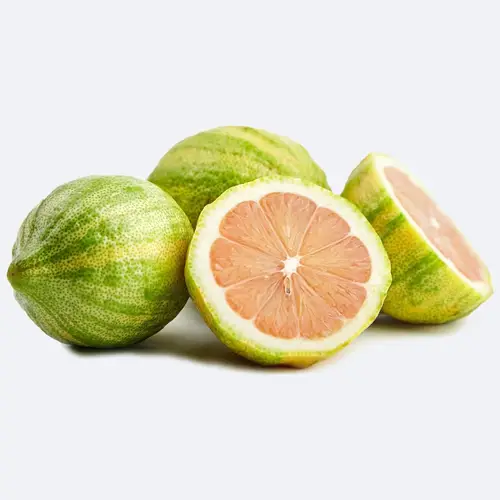 Citrus × limon 'Eureka Pink Variegated'