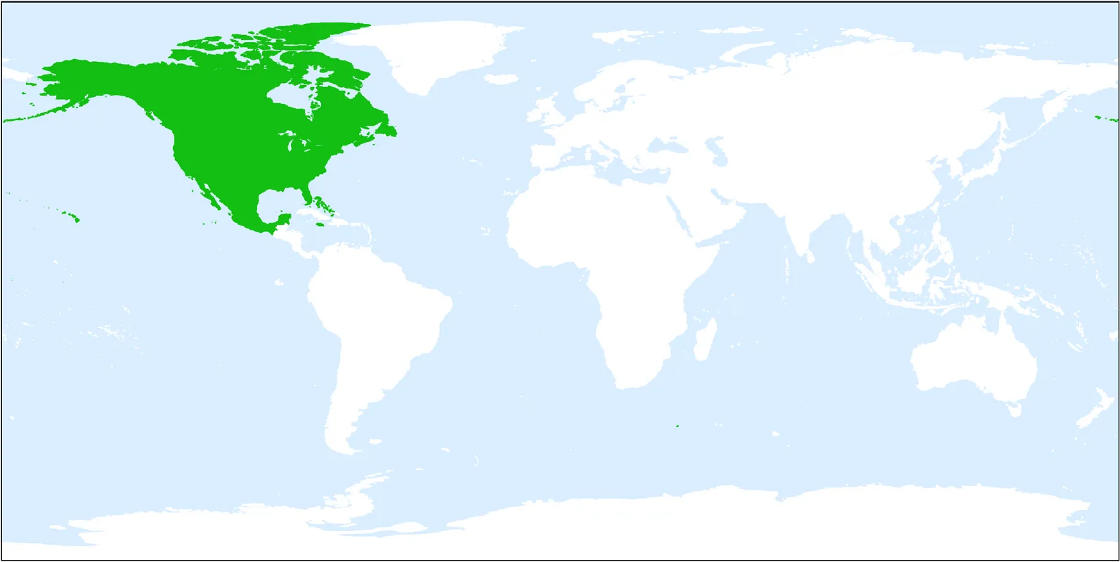 Salicornia depressa - PictureThis, image size:1594x800