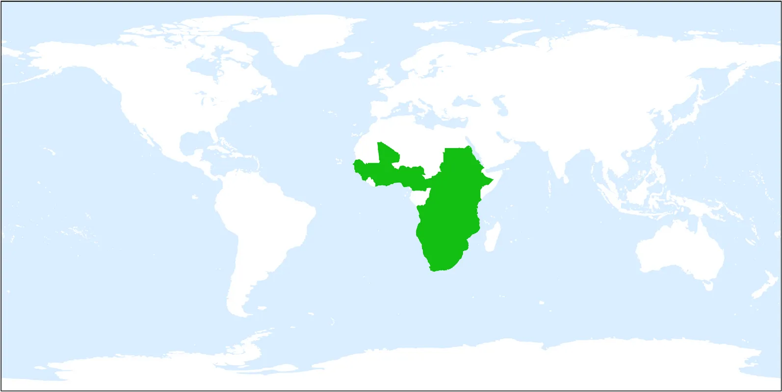 Ceniza del cabo - Ekebergia capensis (Cuidado, Características, Flor,  Imágenes), image size:1594x800