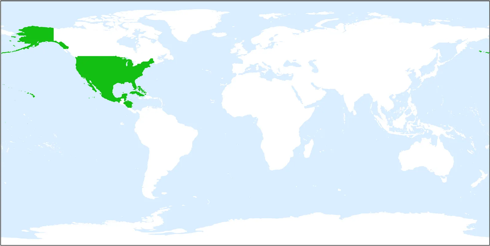 フロリダヤネフキヤシ。 フロリダヤネフキヤシ (Thrinax radiata) - PictureThis