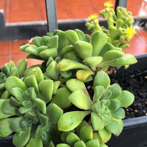 330827466667196416.jpeg?x-oss-