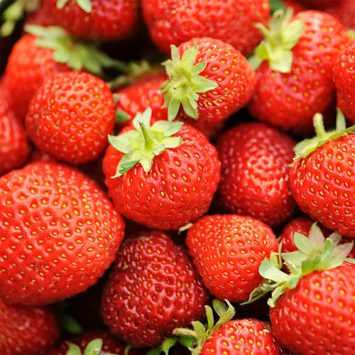 Strawberries 'Honeoye'