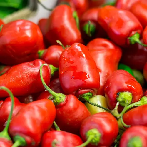 Rocoto (Capsicum pubescens) - PictureThis